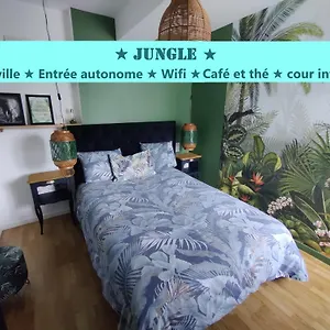 T2 Jungle Centre De Au Calme Coté Cour Vitré